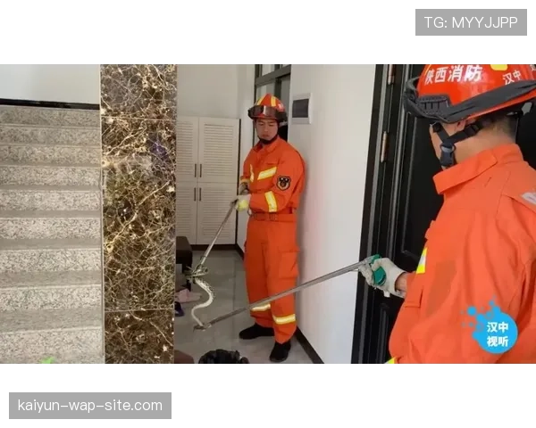 四十八队体系下阵容深度至关重要 轮换策略影响走多远